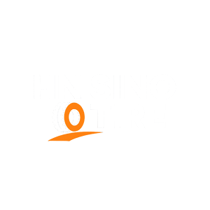 HNSINOTIRE